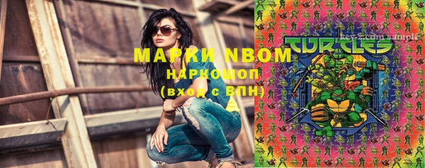 spice Пересвет