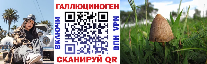 Галлюциногенные грибы Psilocybe  hydra сайт  Скопин 