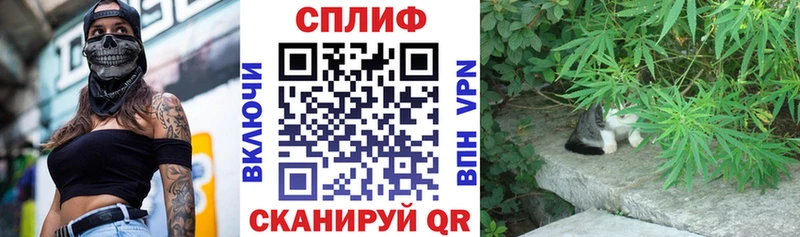 МАРИХУАНА конопля  Скопин 